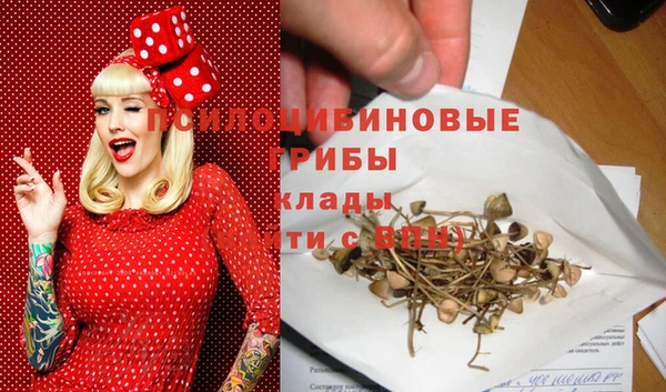 ALPHA PVP Арсеньев