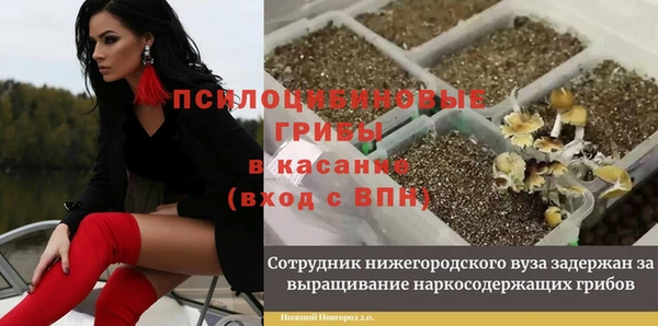 ALPHA PVP Арсеньев